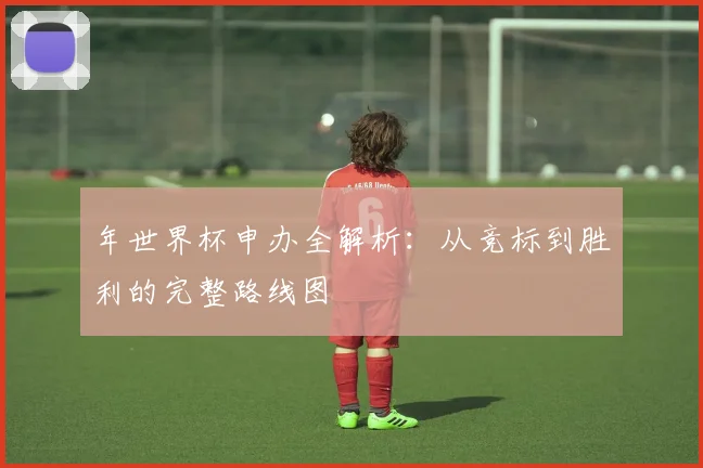 年世界杯申办全解析:从竞标到胜利的完整路线图