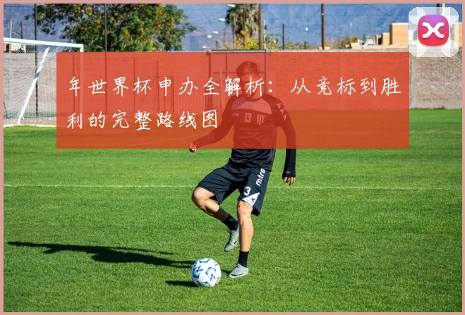 年世界杯申办全解析：从竞标到胜利的完整路线图